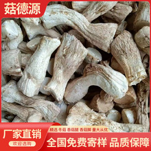 精选1号双剪香菇脚香菇腿25KG丝柄把大量批发DRIED MUSHROOM STEM