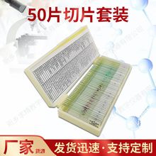 产地货源品质款50片生物切片标本套装玻璃显微镜标本切片套装