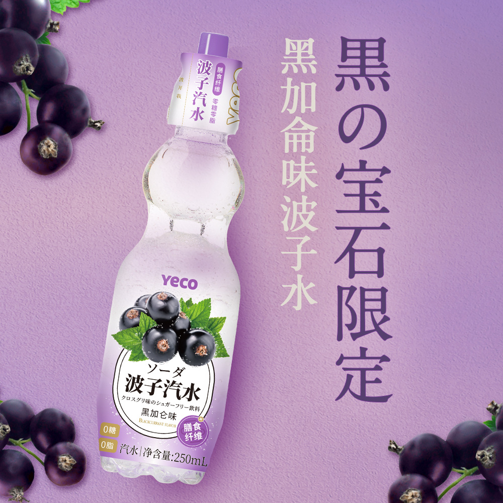 果味碳酸饮料250ml*9瓶黑加仑味网红波子汽水批发招代理