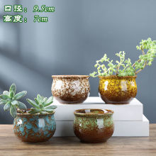 退坑清阳台多肉,白月影x梦露(小明)25元包邮_阿里巴巴找货神器