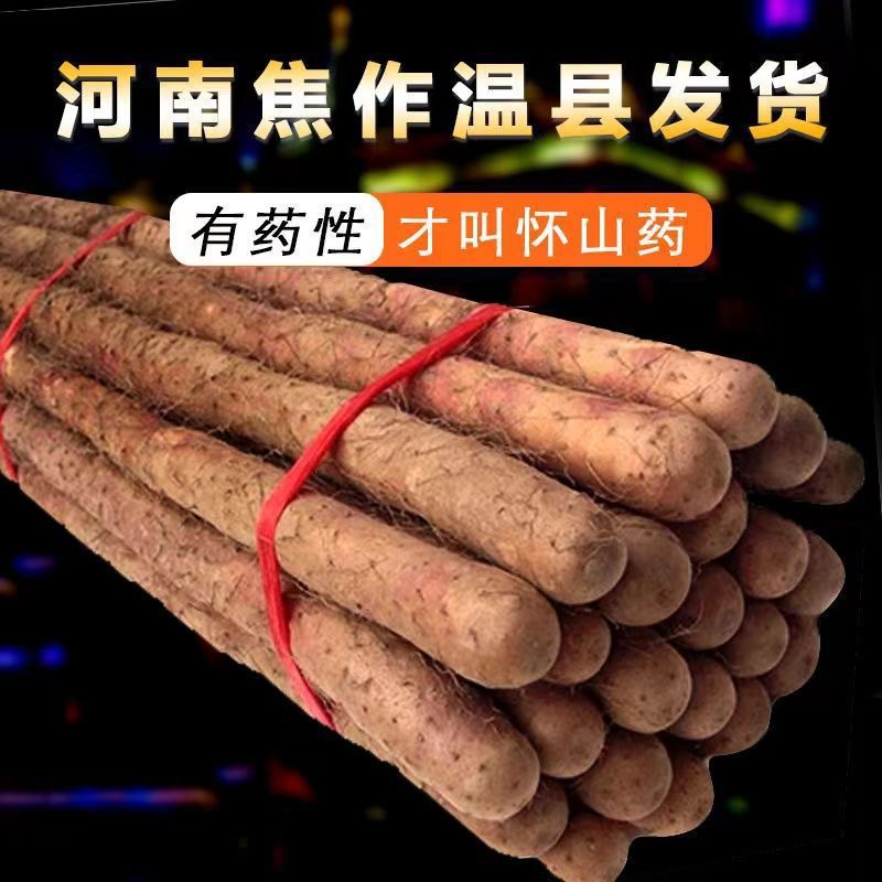 河南焦作温县山药怀山药铁杆山药淮山药新鲜蔬菜粉糯香甜代发