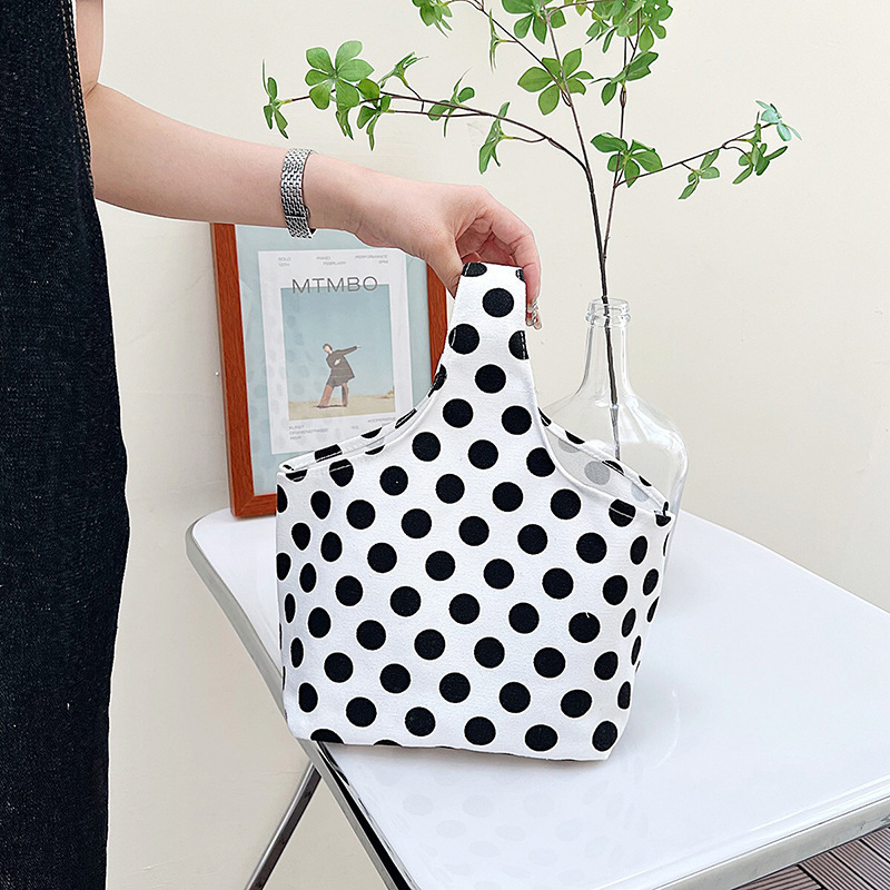 New Simple Lunch Box Handbag Wholesale Niche French Style Good-looking Work Hand Carrying Japanese and Korean Canvas Bag Women