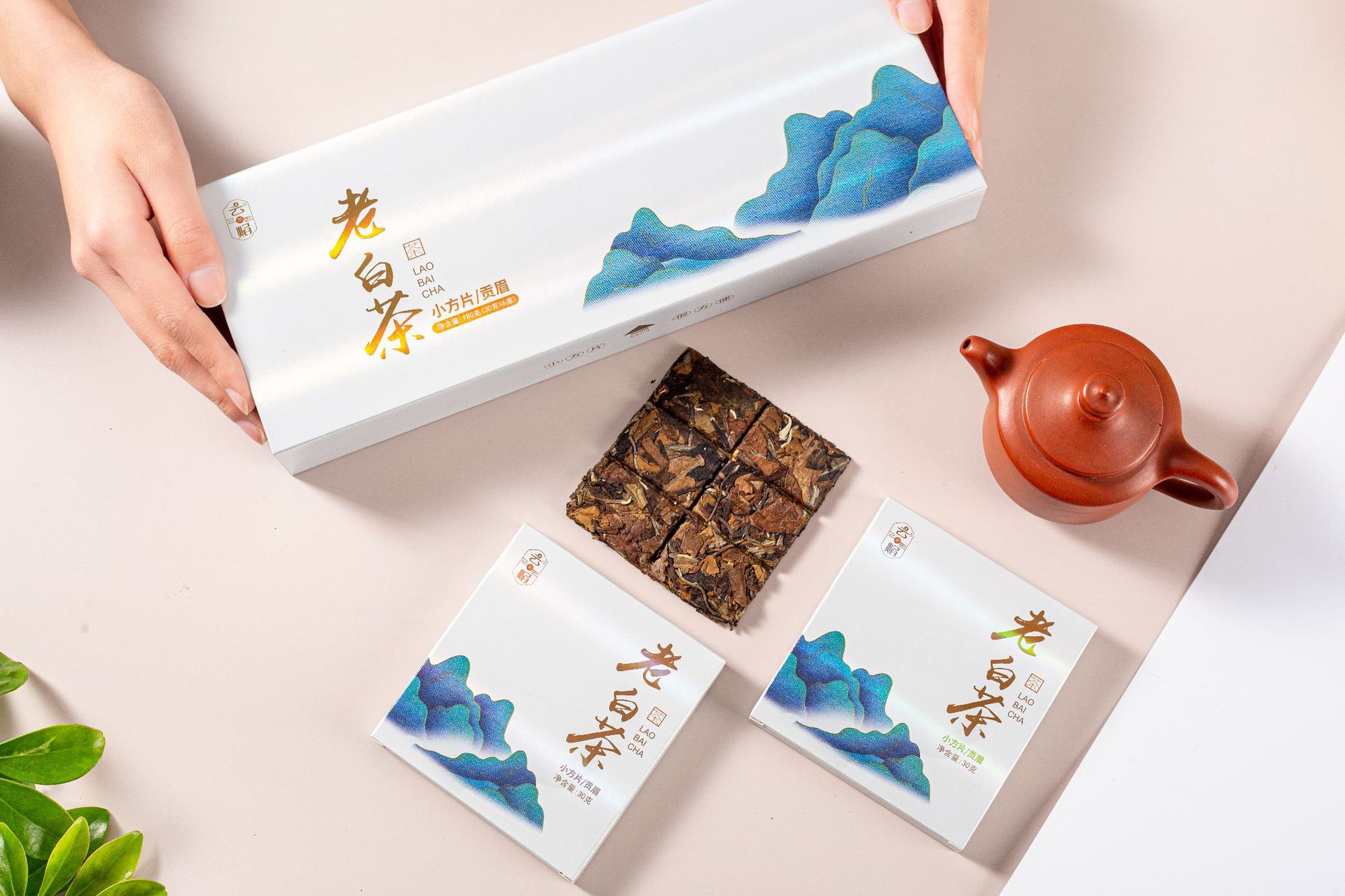 礼茶来袭 礼盒装普洱生茶熟茶 白茶 陈皮普洱茶 方片紧压茶小包装