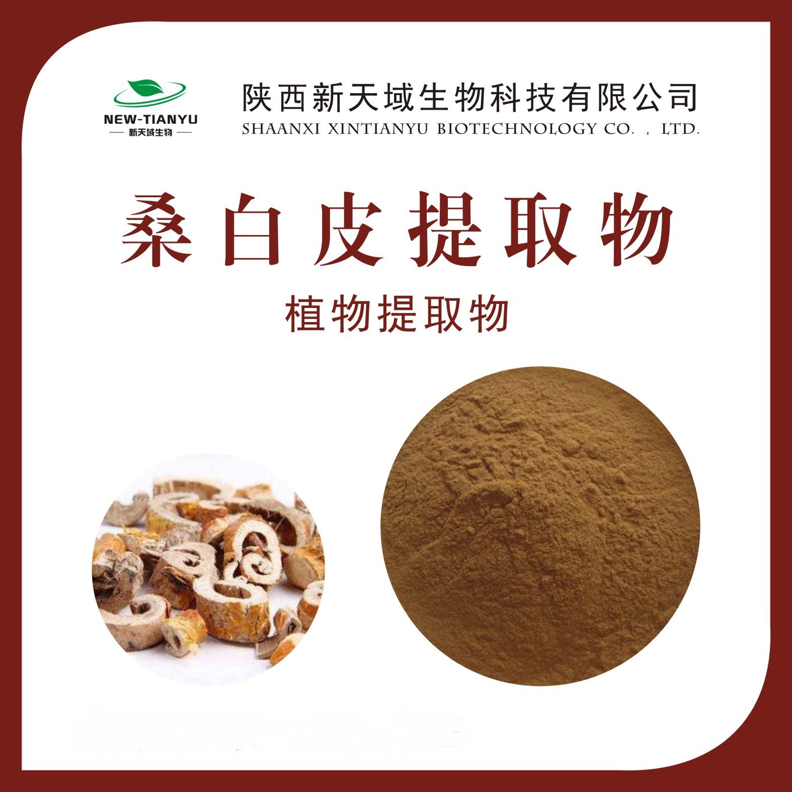 桑白皮提取物 新天域生物 现货供应 桑白皮粉 白桑皮提取物