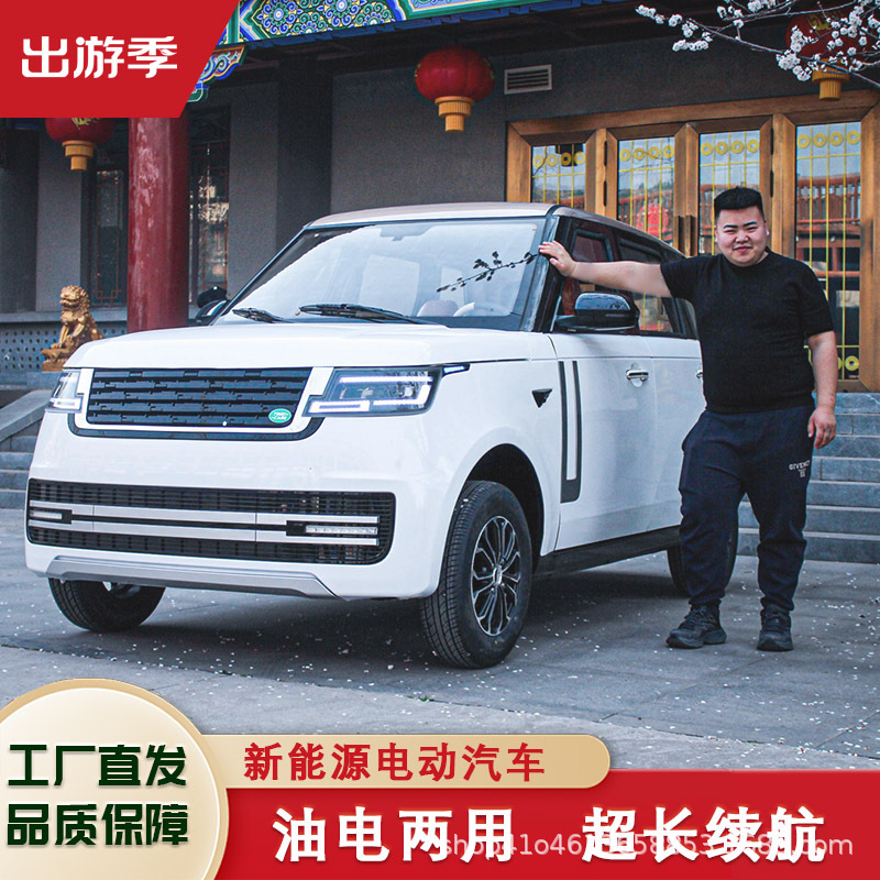 电四轮电瓶车家用老头乐小型轿车油电两用全封闭低速代步车-阿里巴巴