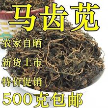 一件代发马齿苋干野菜中药材马齿草马齿菜马苋五行草包邮多规格