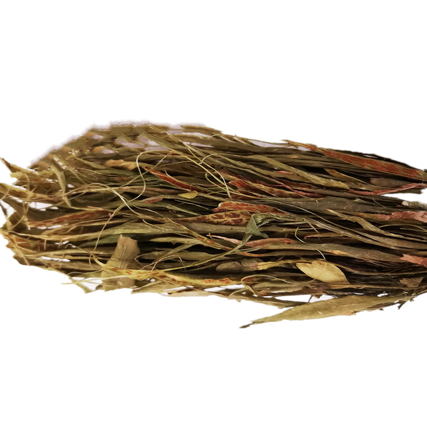 500g马蹬草原生态中药材批发过桥草还阳草马灯草马蹄草小石韦仙草