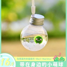 marimo海藻球生态瓶水藻球能量瓶水培植物马里莫随身瓶桌面宠物