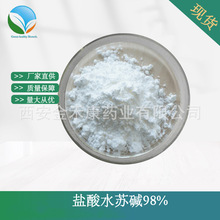 盐酸水苏碱98%  益母草提取物 CAS：4136-37-2  水溶 HPLC测 现货