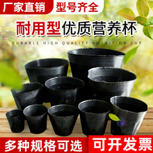 种植袋 塑料简易钵塑料盆大棚杯袋 生石花盘圆形大号栽培袋月季钵