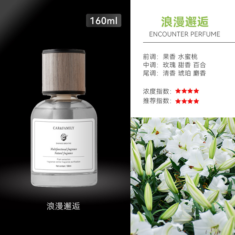 Time Car Perfume Aromatherapy Car Decoration for Men in the Car High-End Long-Lasting Light Fragrance Deodorant Wholesale