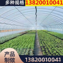 日光温室暖棚蔬菜大棚种植保温植被培育温室大棚骨架供应 大棚管