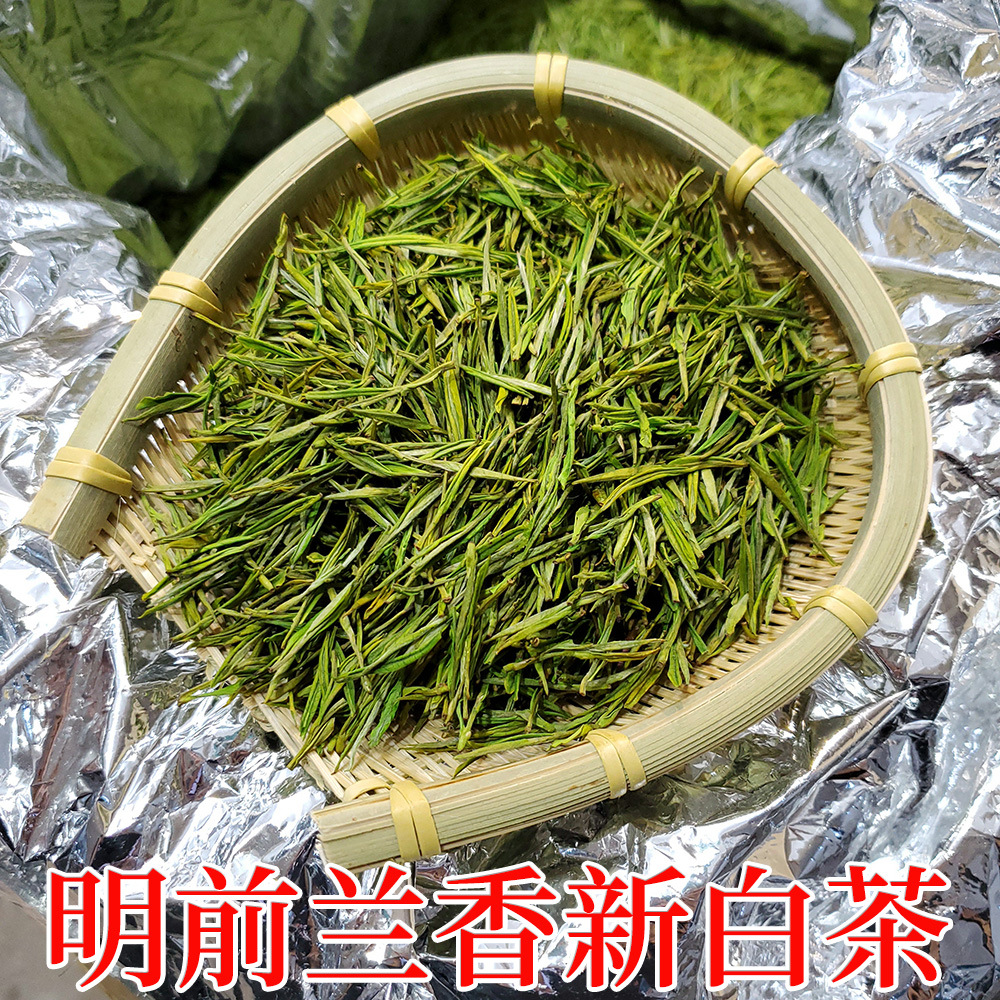 2022新明前特产白茶嫩芽原料兰香型滋味鲜爽绿茶批发散装茶叶