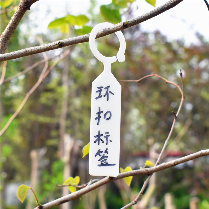 苗木花盆塑料多肉标签花卉园艺插地牌多肉植物名字标牌防水小插牌