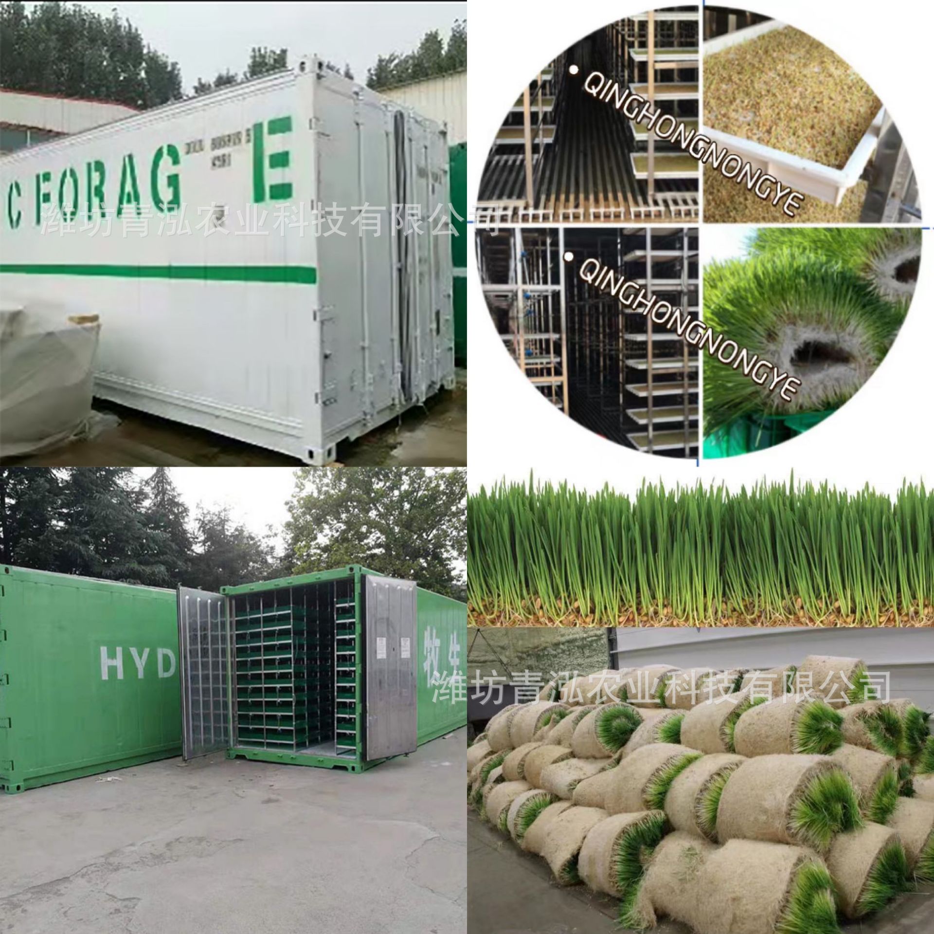 牧草饲料种植架相似店铺>进入本店铺>厂房面积:2000加工方式:经营模式