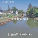 手松木桩 防汛木桩 湖边围堰工程打桩木 河道加固桩 驳堓原木桩