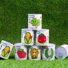 网红易拉罐盆栽绿植番茄草莓种子小花农罐头小盆栽儿童手工小礼物
