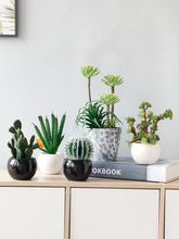 创意室内桌面假花绿植装饰摆件家居茶几植物盆栽仙人掌盆景