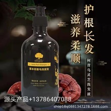 源头货源何首乌灵芝洗发水 白头发草本植物滋养洗发露500ml