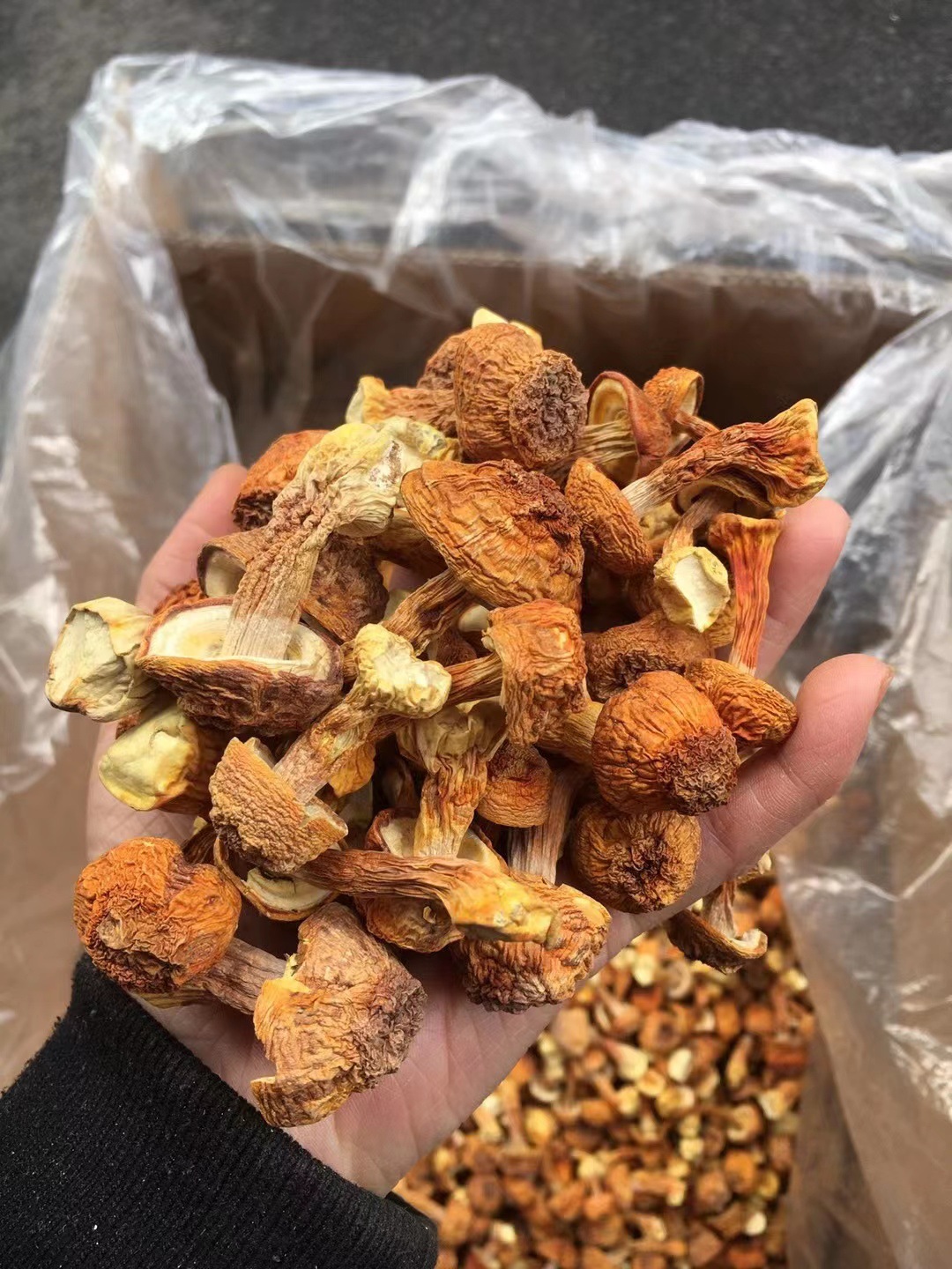 云南特产姬松茸新货野生巴西菇干货姬茸菇姬松茸源头批发散装500g