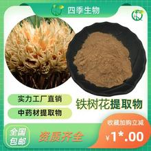 铁树花提取物 凤尾蕉粉 朱蕉花提取 10：1 四季 中药材提纯工厂