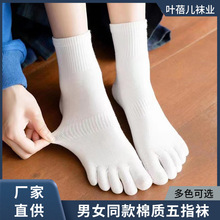 五指袜男女同款运动橡筋精梳棉中筒袜四季纯色透气吸汗分趾袜批发