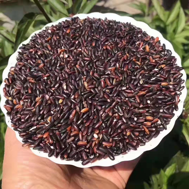 山东沂蒙山农家血糯米5斤新米五谷杂粮米粥儿童粗粮一件代发