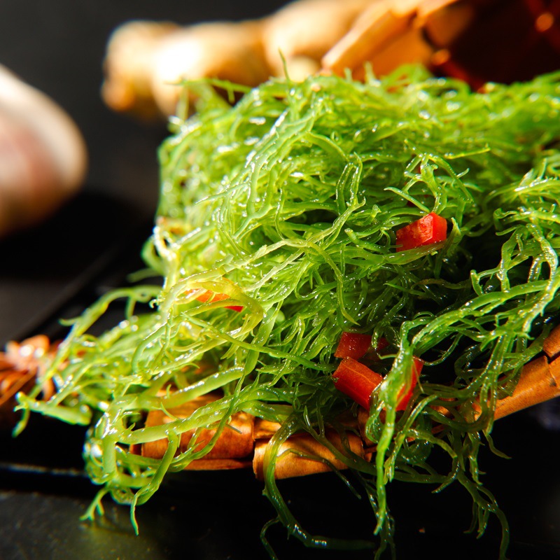 龙须菜新鲜盐渍海发菜海藻沙拉食用海野菜餐饮商用凉拌菜食材批发