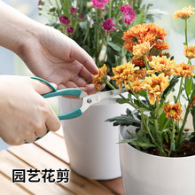 日本ECHO园艺剪刀花剪加长防滑修枝剪家用园林工具树枝花艺剪刀