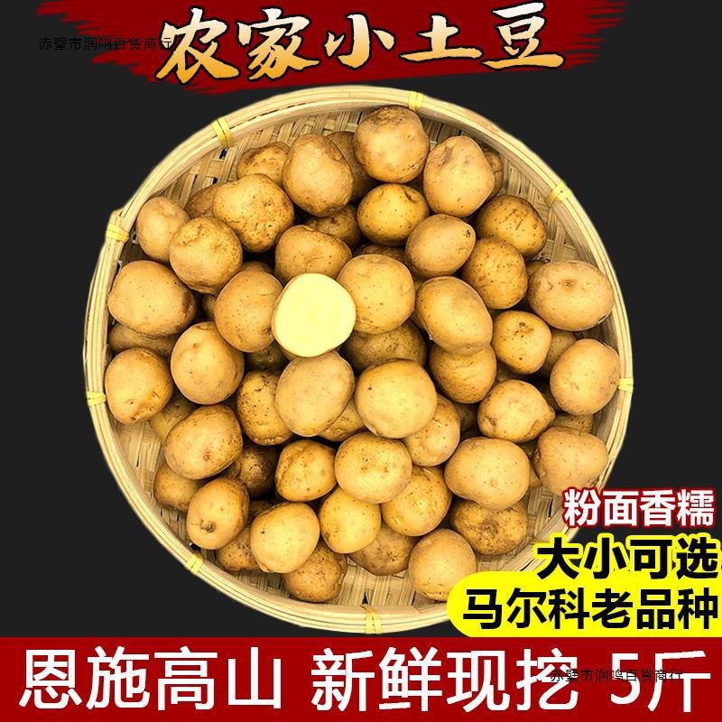 2023恩施农家自种新鲜小土豆高山富硒黄心洋芋迷你马铃薯5斤包邮