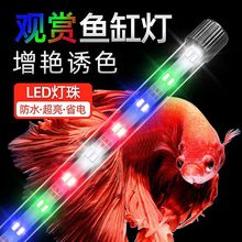 鱼缸灯水LED灯潜水防水 水族箱照明灯增艳龙鱼灯七彩超亮