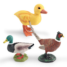 跨境仿真家禽农场装饰鸡鸭摆件儿童认知公鸭小黄鸭野鸡动物模型