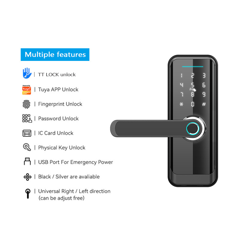 Fingerprint Lock Graffiti Spanish Smart Horn Lock Tuya Mobile Phone Remote Fingerprint Fire Door Channel Induction Lock