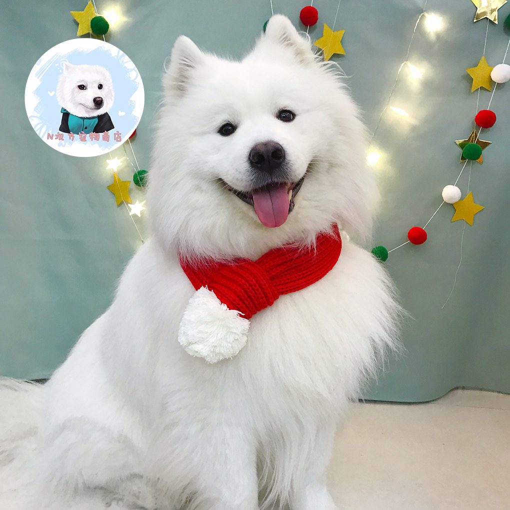 新年新款红色长条萨摩金毛拉布拉多中大型犬宠物毛线围脖喜庆围巾