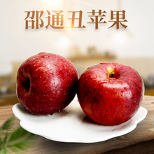 昭通冰糖心丑苹果新鲜10斤整箱云南应当季时令水果红富士孕妇包邮