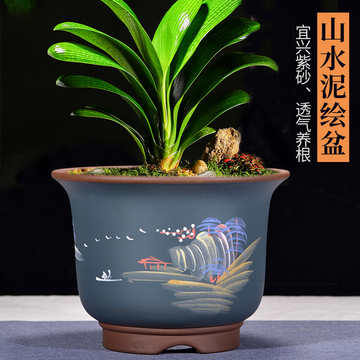 紫砂花盆君子兰发财树绿萝盆家用室内绿植陶瓷大号盆景盆包邮