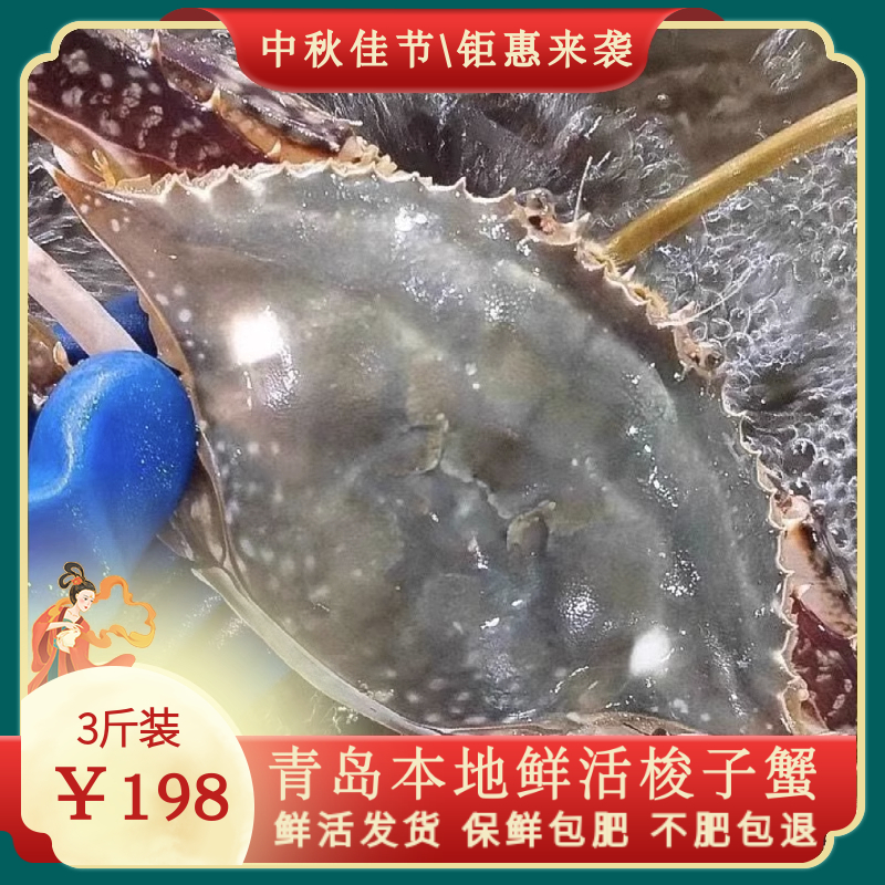 鲜活梭子蟹3/4斤特大枪蟹母蟹公蟹青岛海鲜活海螃蟹白蟹包肥飞蟹