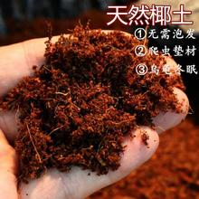 保湿免泡无菌椰土垫材乌龟冬眠蜘蛛蝎子爬虫角蛙蜗牛保湿苔藓包邮