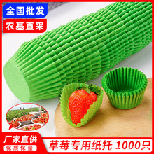 草莓纸托绿色油纸86草莓包装纸托水果装饰防运输磕碰保护纸垫果套