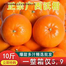 广西沃柑超甜当季新鲜水果橘子桔子批发薄皮大果一整箱批发