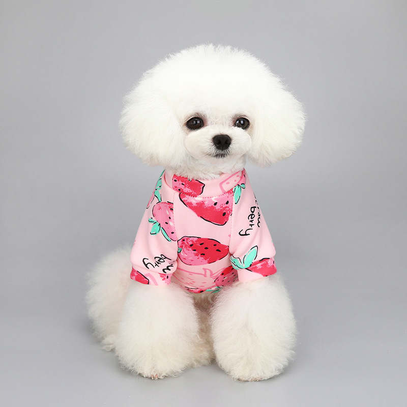 New Cartoon Printed Pet Clothes Fleece-Lined Two-Leg Sweater Autumn and Winter Pullover Pet Dog Clothes Cat Clothes