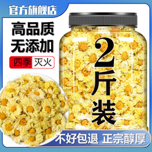 杭白菊官方旗舰店桐乡胎菊菊花茶去火材500g