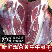 3斤 整根牛腱子肉 现杀农家散养黄牛 新鲜牛肉牛腩生牛肉冷藏发货