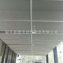 金属吊顶网 丝网网片装饰防护网板铝板拉伸张拉网菱形金属吊顶网