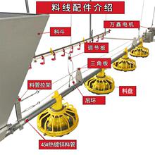 养殖鸡场自动喂料机绞龙升降上料送料投料机饮水器鸭棚舍水线料线