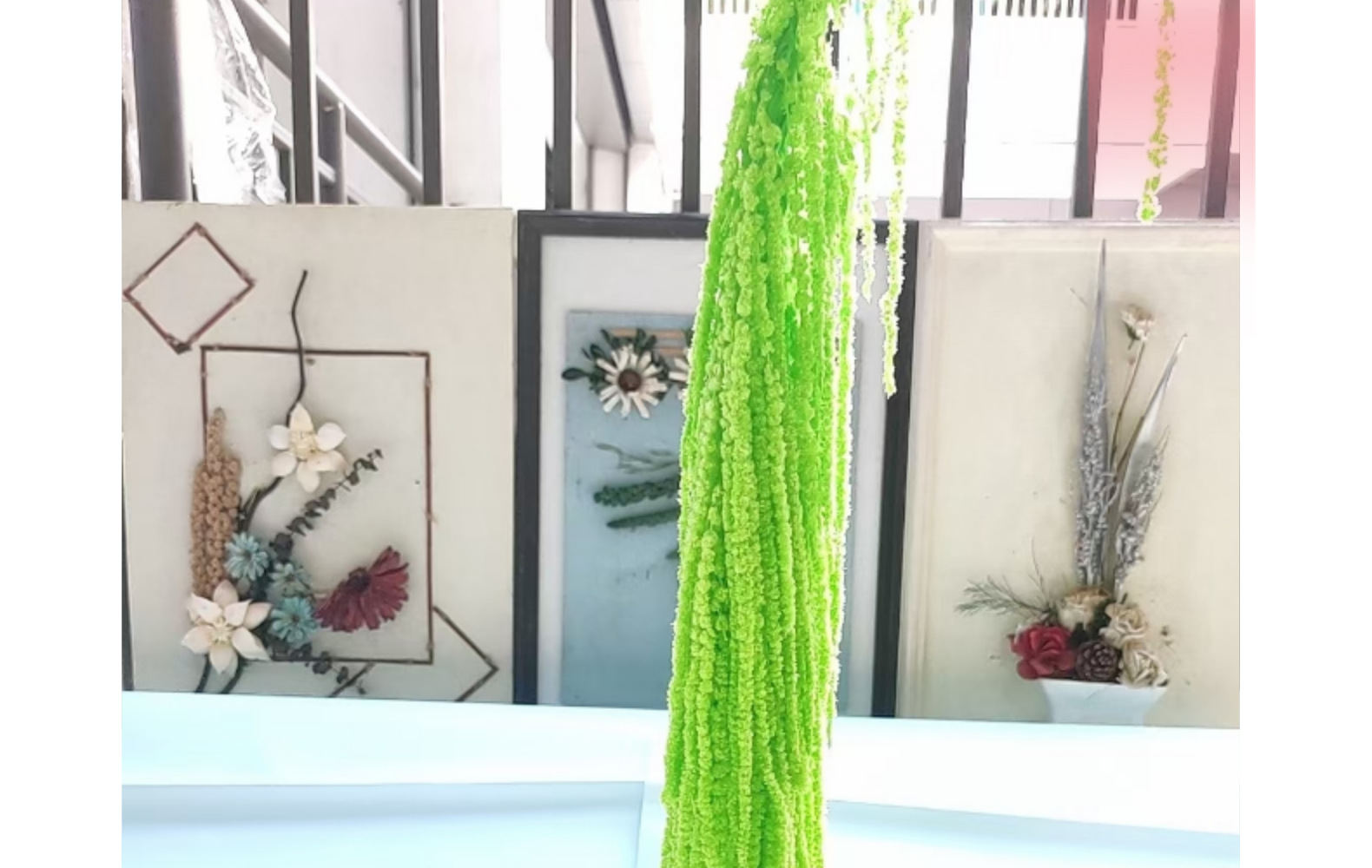 吊米红小米永生花 柔丽丝情人泪长穗ins花艺软装垂吊干花婚礼布置