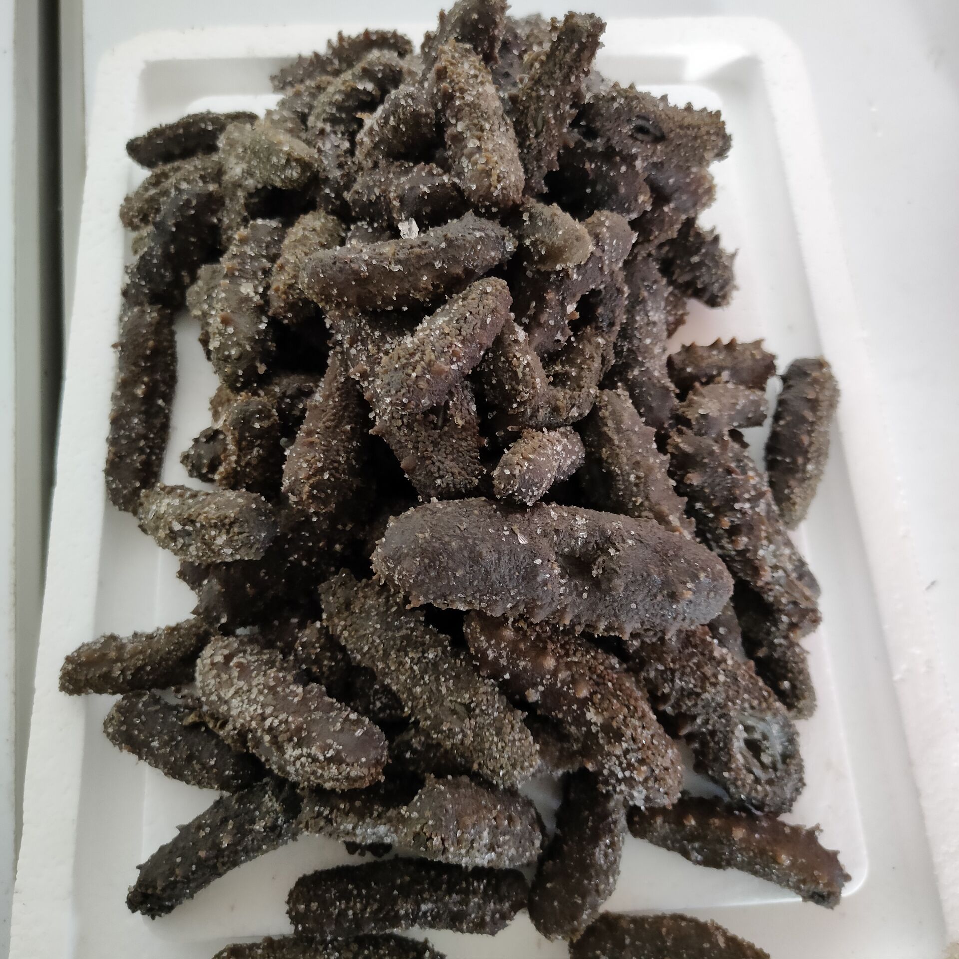 大连大火候半干微残海参盐渍底播海参鲜活一手批发价