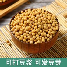 黄豆东北新打豆浆用农家发豆芽粗粮批发杂粮亚马逊代发