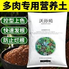 多肉植物营养土大包花卉盆栽养花通用型蔬菜陶粒种植土