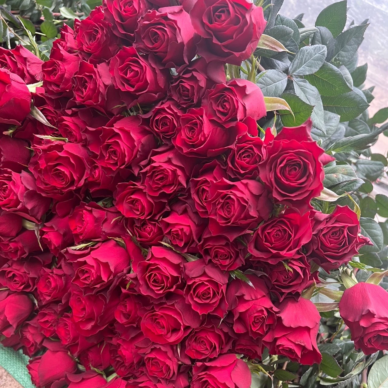 红色玫瑰鲜花云南昆明鲜花直批婚庆花店真花年宵花鲜花摆摊花束